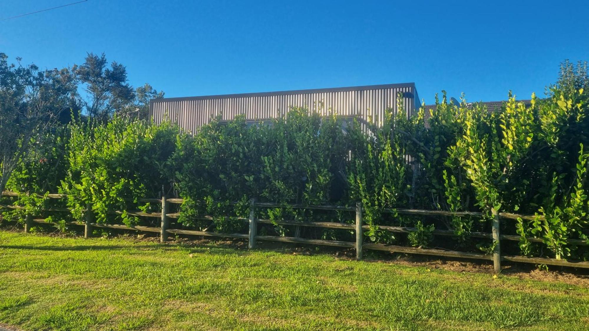 Mangawhai Room And Studio Exterior foto